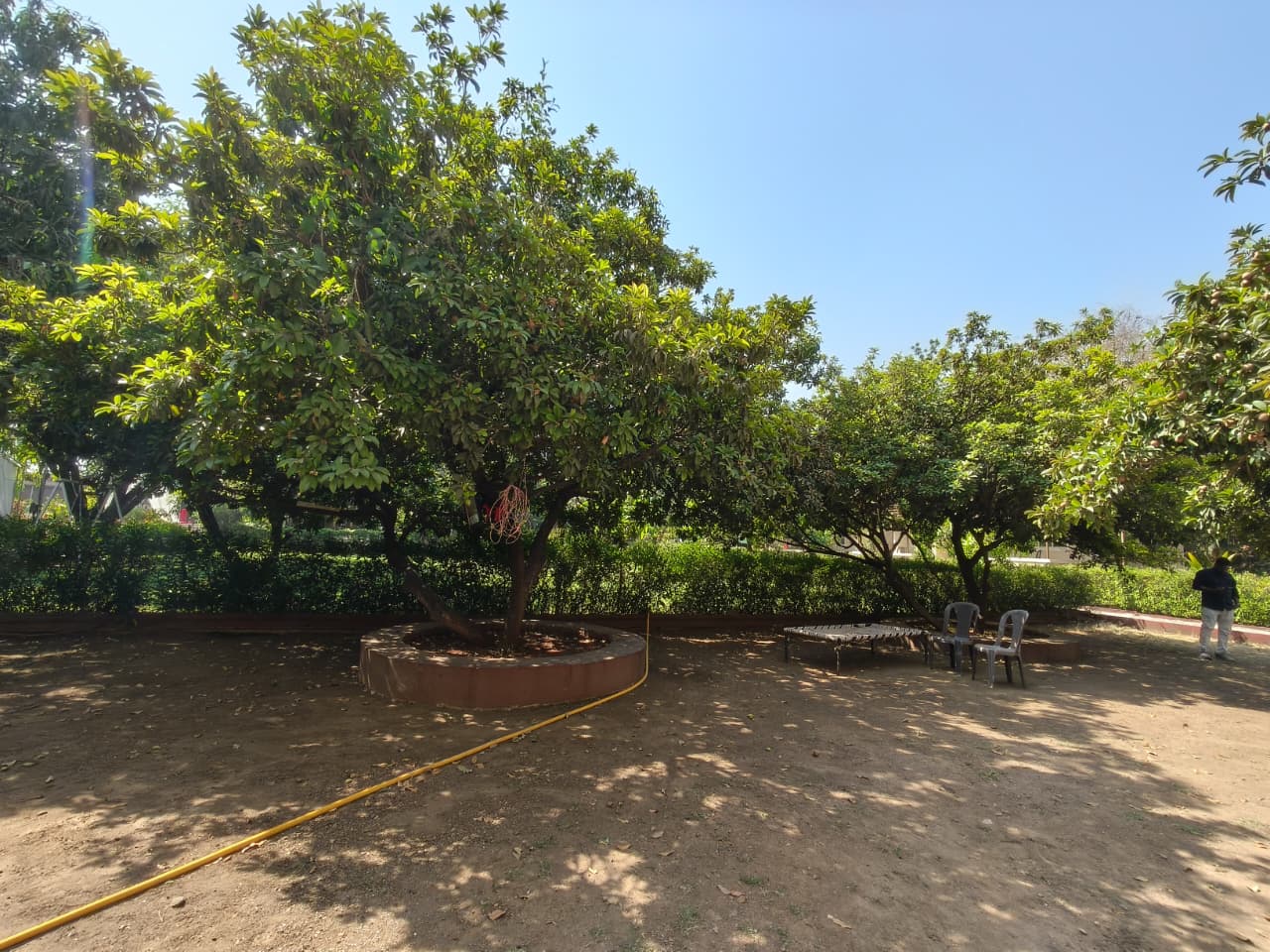 Chikoo Baug at Vrundavan Resorts