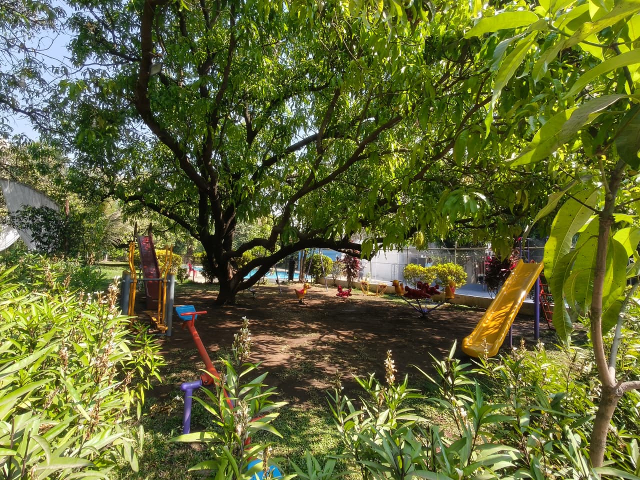 Children Play Area