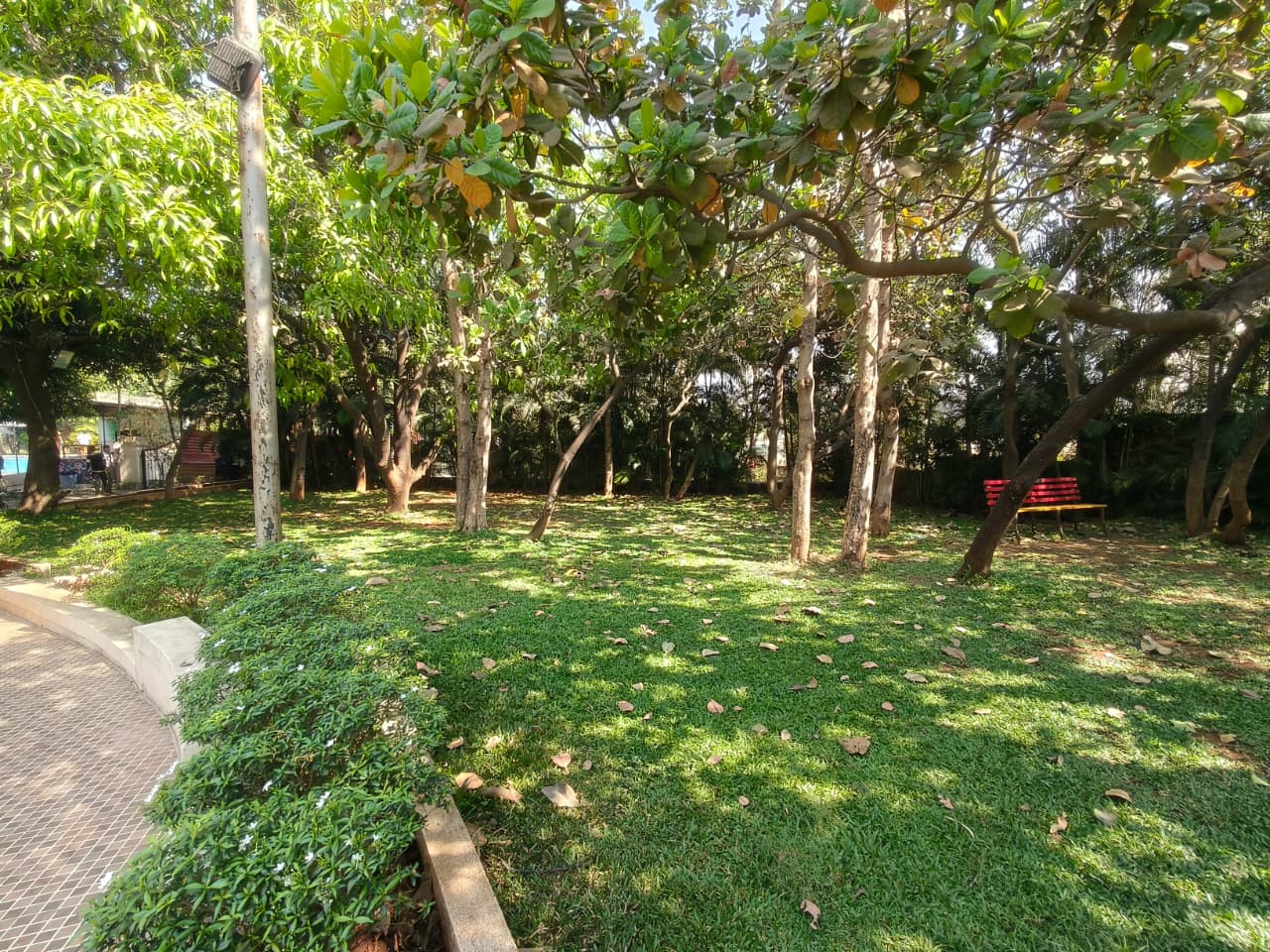 Garden Area