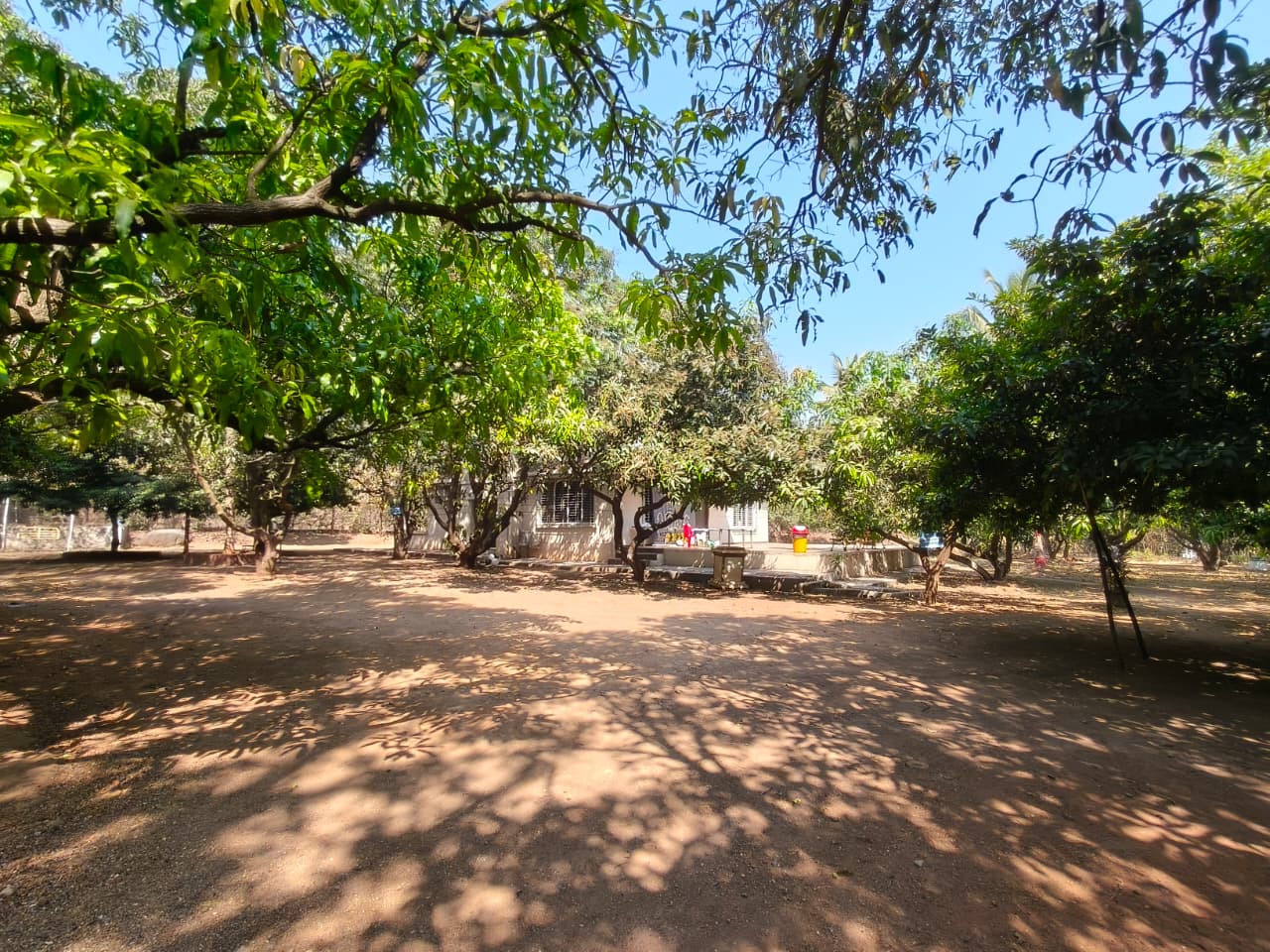 Orchard Area