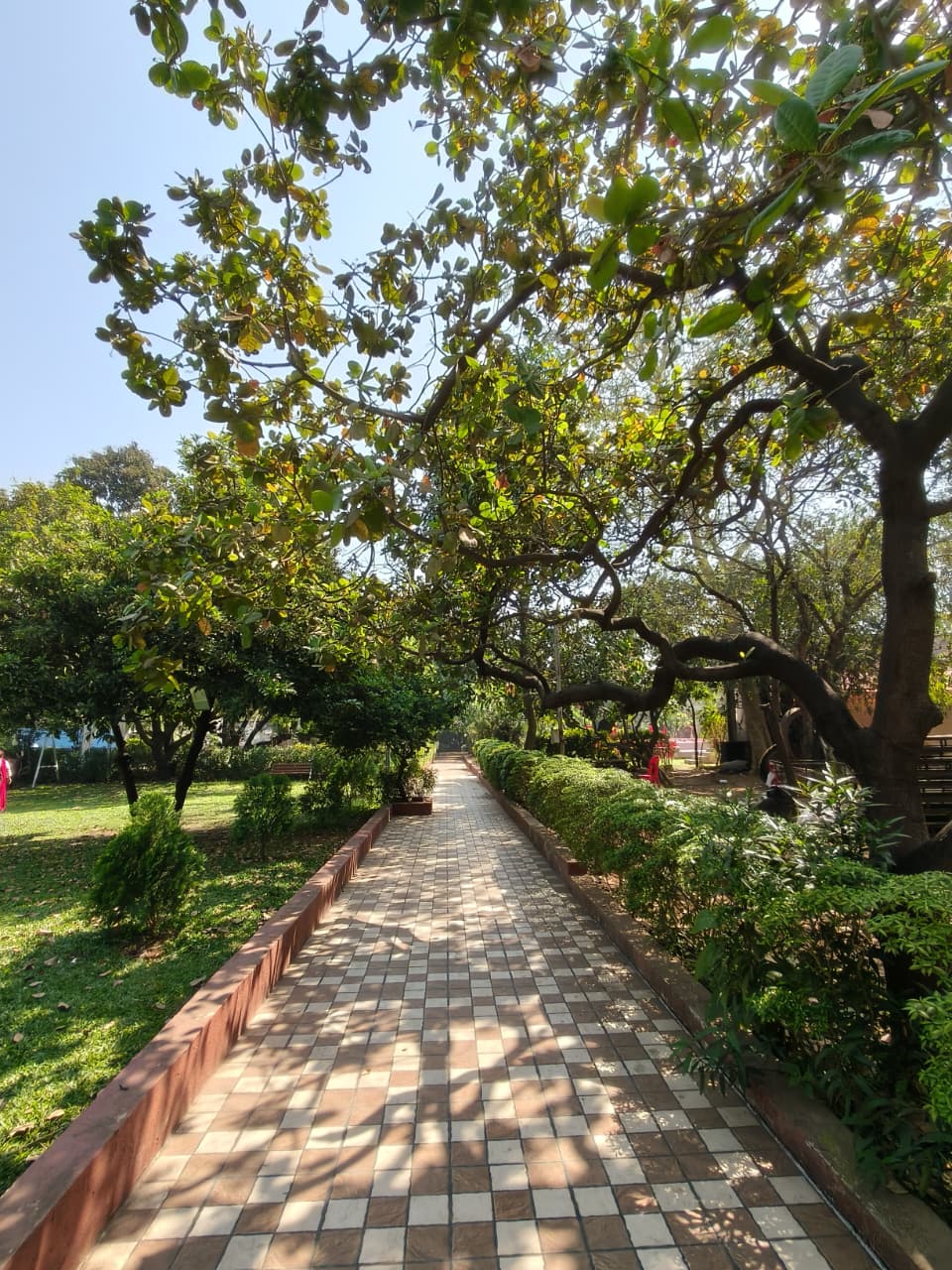 Scenic walkway at Vrundavan Resorts